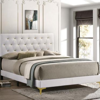 Kendall Tufted Upholstered Panel Queen Bed White