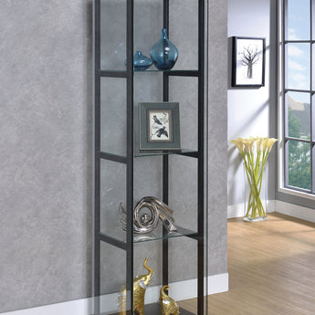 Cyclamen 4-Shelf Glass Curio Cabinet Black And Clear